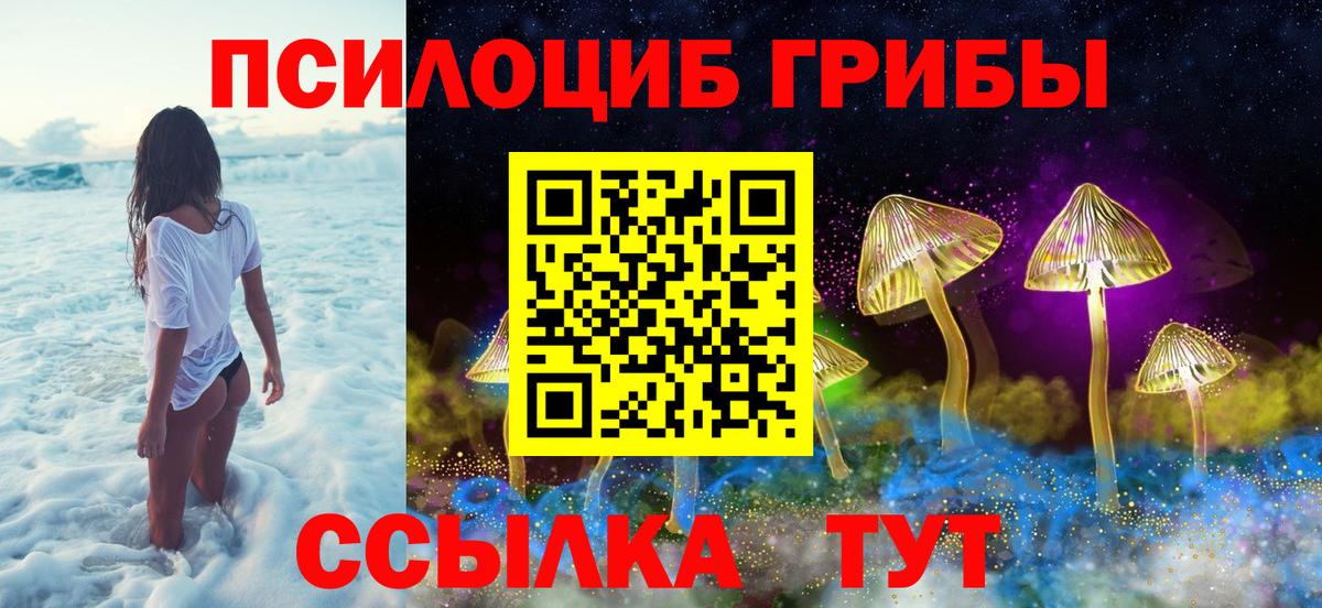 Галлюциногенные грибы MAGIC MUSHROOMS Котовск