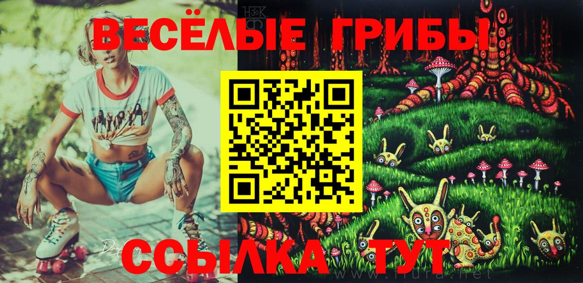 Галлюциногенные грибы Psilocybine cubensis  Вход с VPN  Галлюциногенные грибы ЛСД  Котовск 